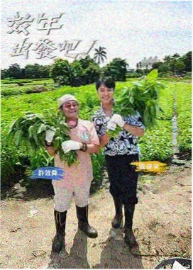 脱口秀海报